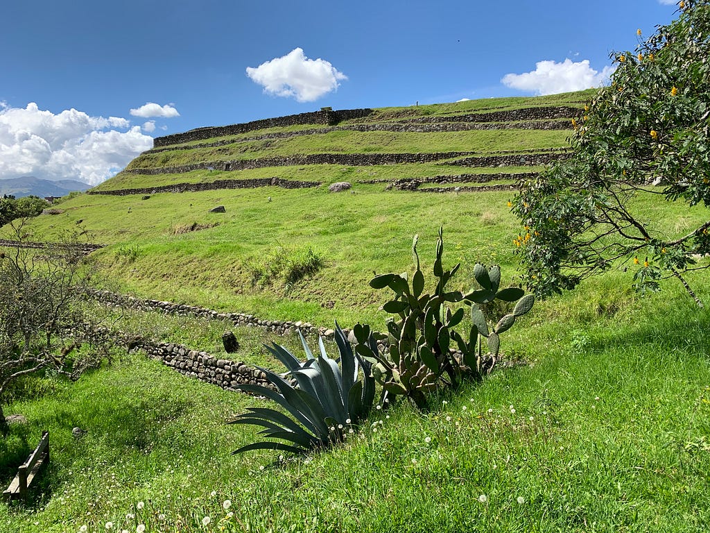 Ancient Inca stone ruins covered in bright green grass. Green cacti and trees surround the structure at El Museu de Pumapungo