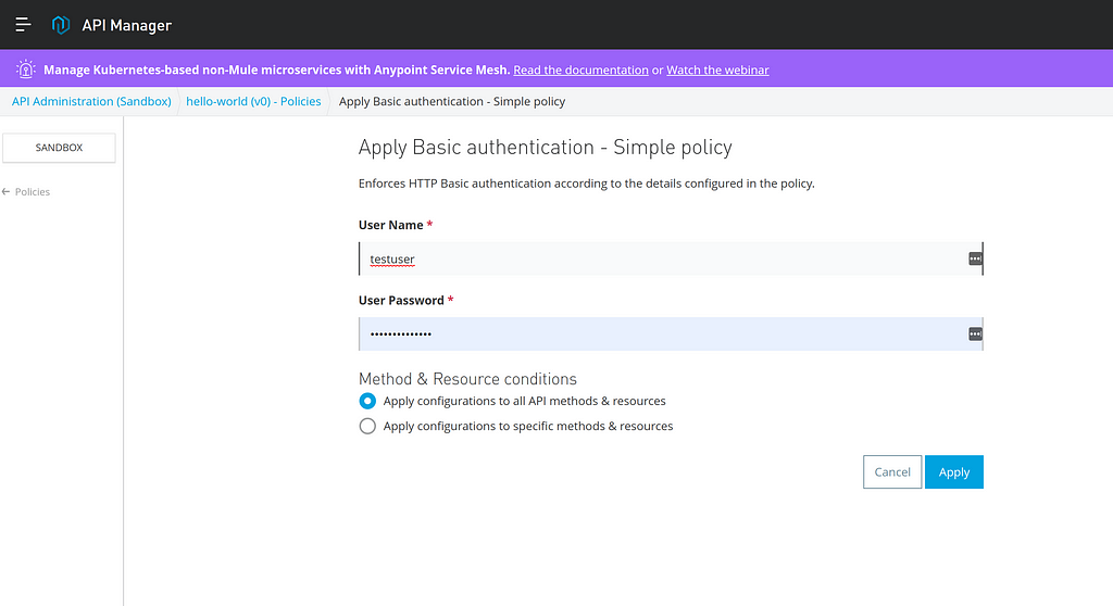 Basic Authentication with simple policy