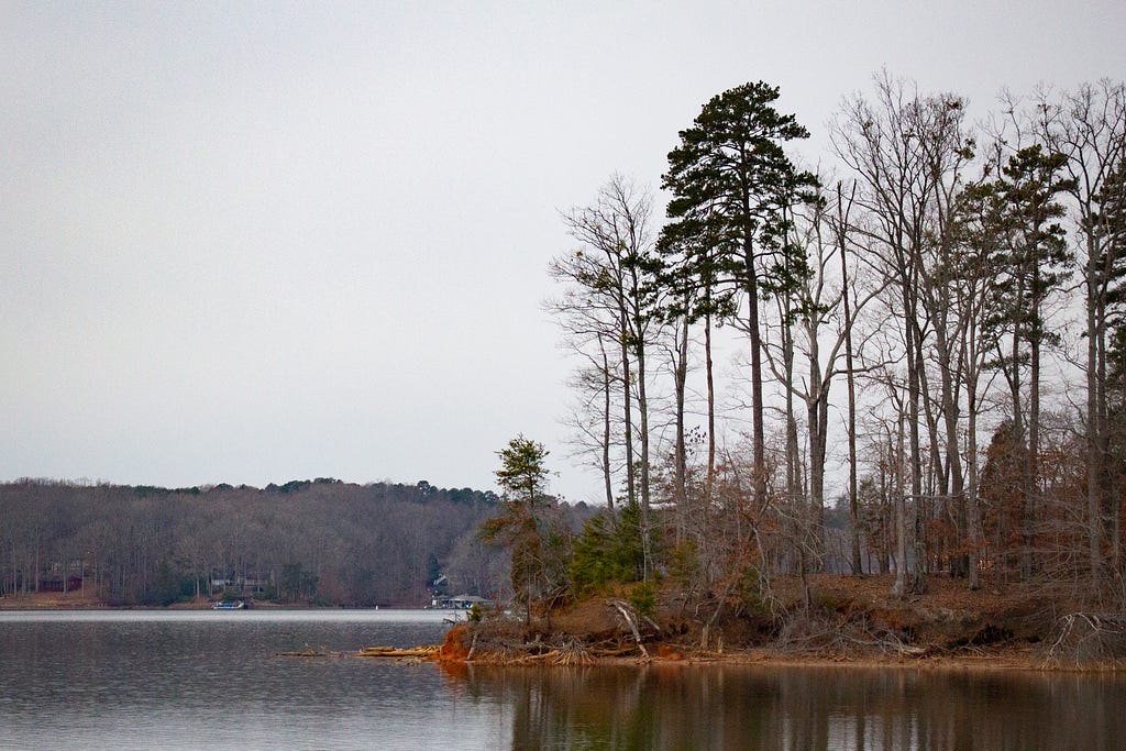 A peninsula on Lake Norman, with red clay and tall pine trees.