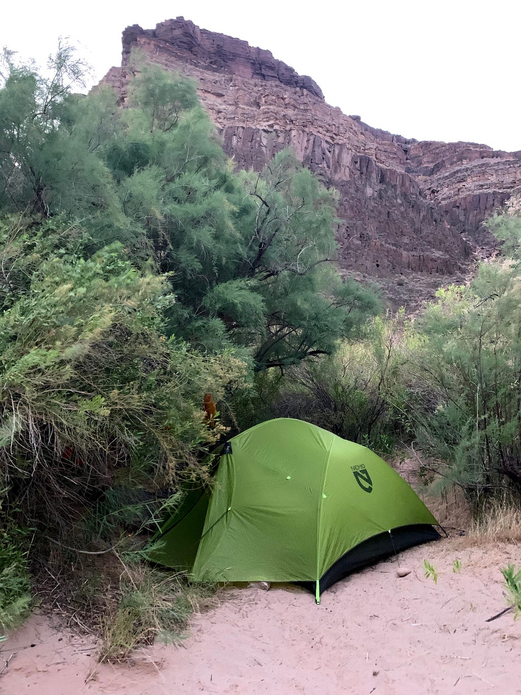 Green tent nestled under a tree, with a cliff in the background