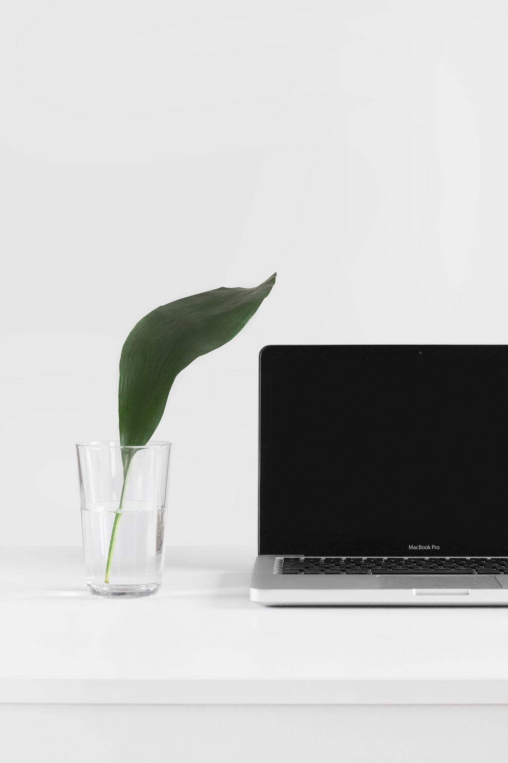 Minimalistic photo with Macbook Pro and a vase with a plant on white clean background