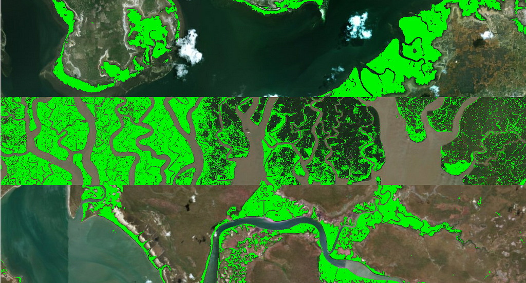A 3 image mosaic of mangrove predictions