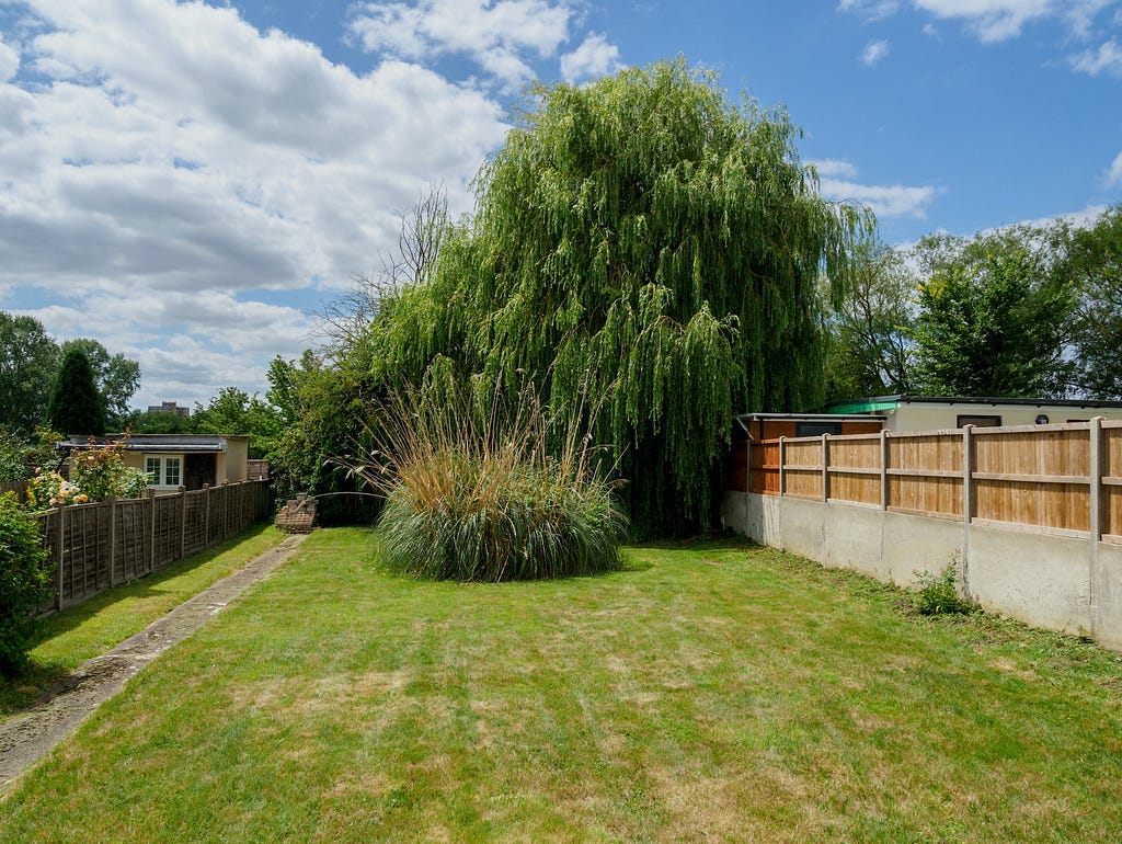 Photo of a fenced-in backyard with somewhat dry grass and a weeping willow tree in the back