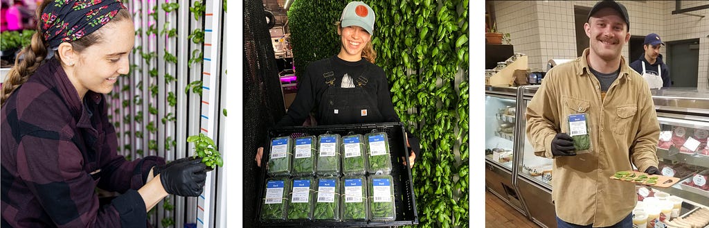 Square Roots Next-Gen Farmers harvesting, packaging, and sampling hyper-local herbs in Brooklyn, New York