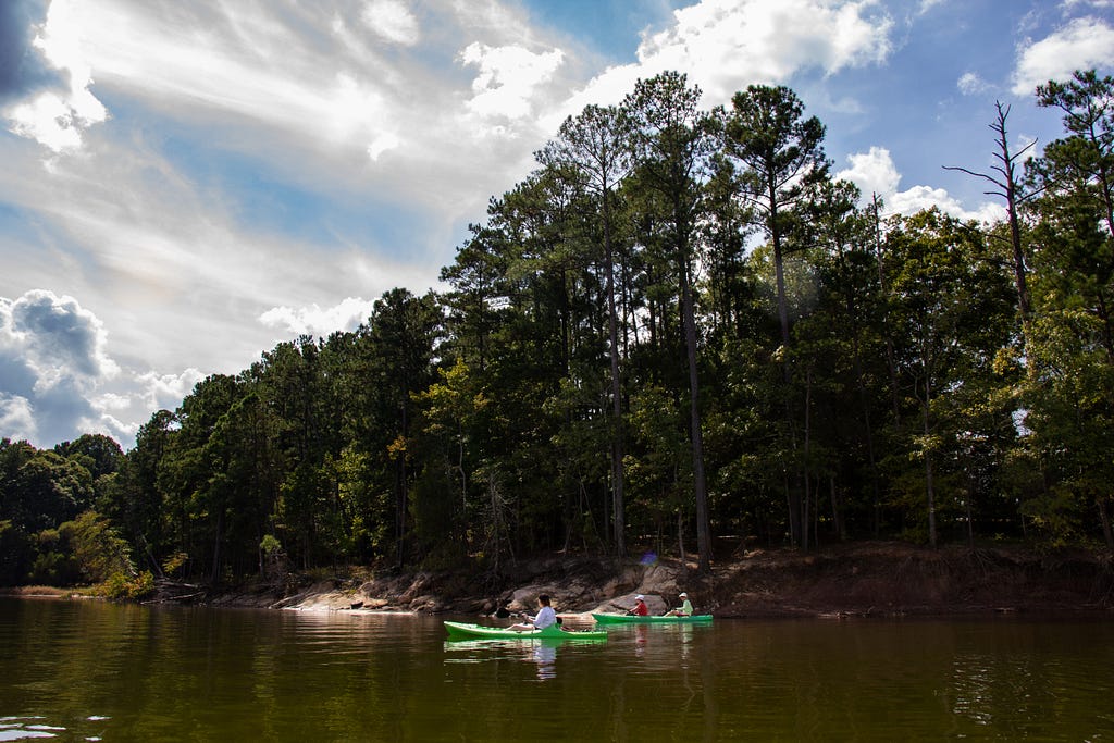 Three kayakers paddling along the banks of the lake, with tall green deciduous trees in the background.