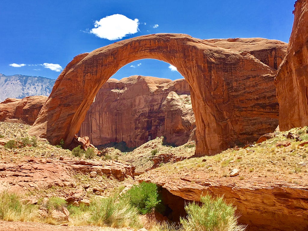 A stunning image of the Rainbow Bridge, captured with vibrant colors reflecting off the water below. The bridge’s elegant arch spans gracefully, symbolizing connection and unity. This photo highlights the architectural beauty and serene surroundings of the iconic landmark.