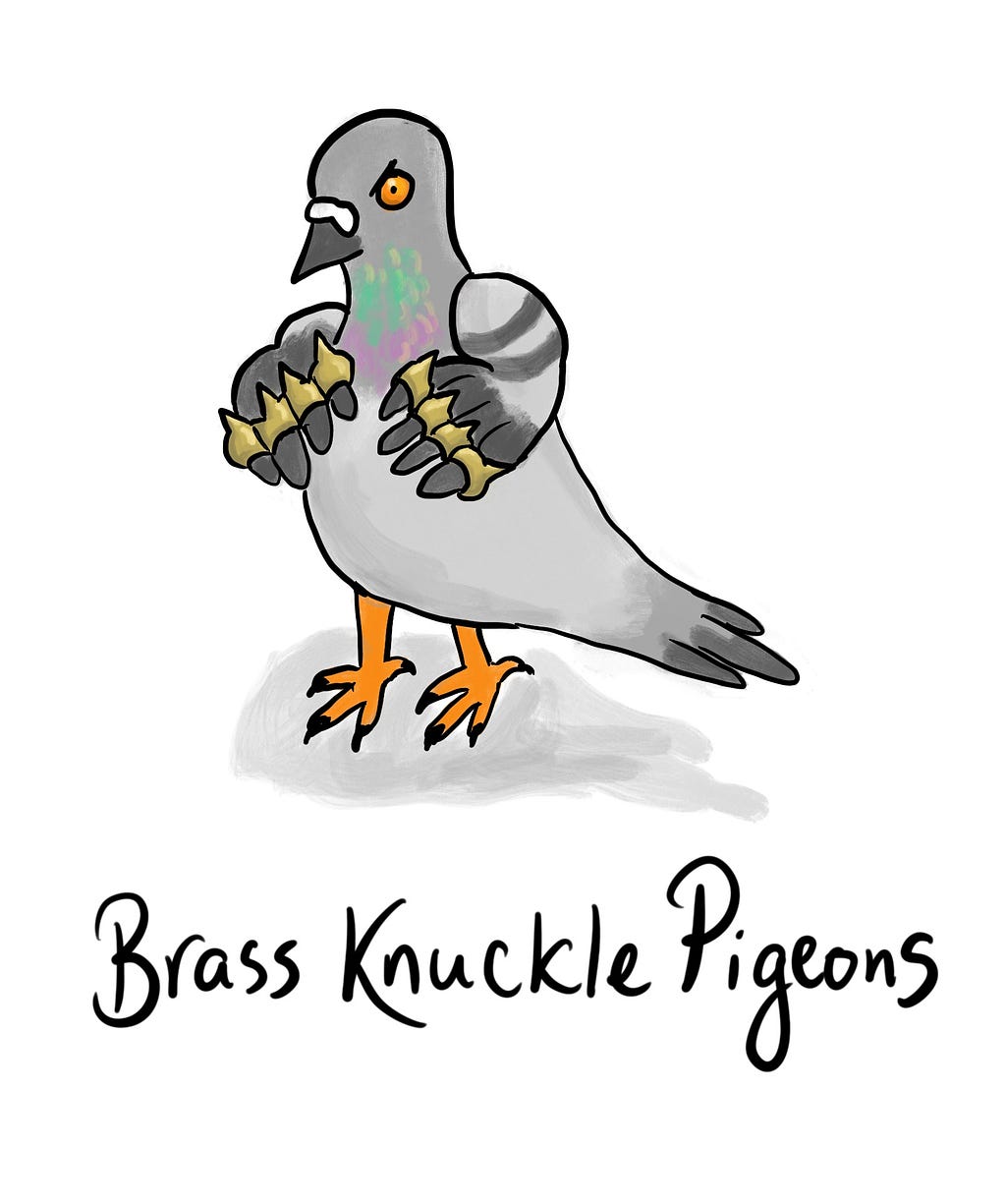 Brass Knuckle Pigeons