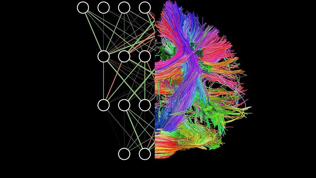 A mixture of an Artificial Neural Network and the Brain Connectome