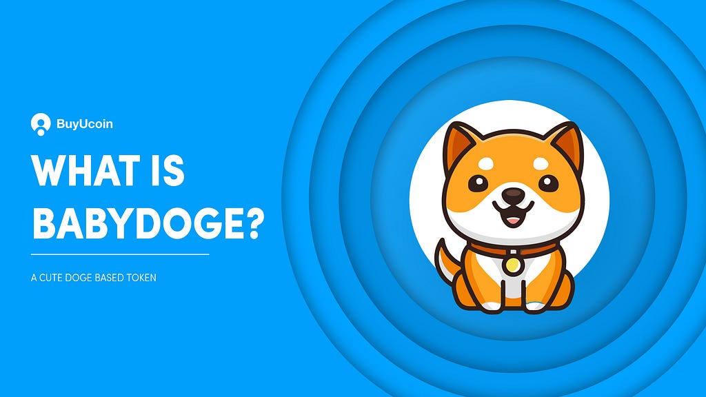 What Is Baby DOGE Coin — BuyUcoin