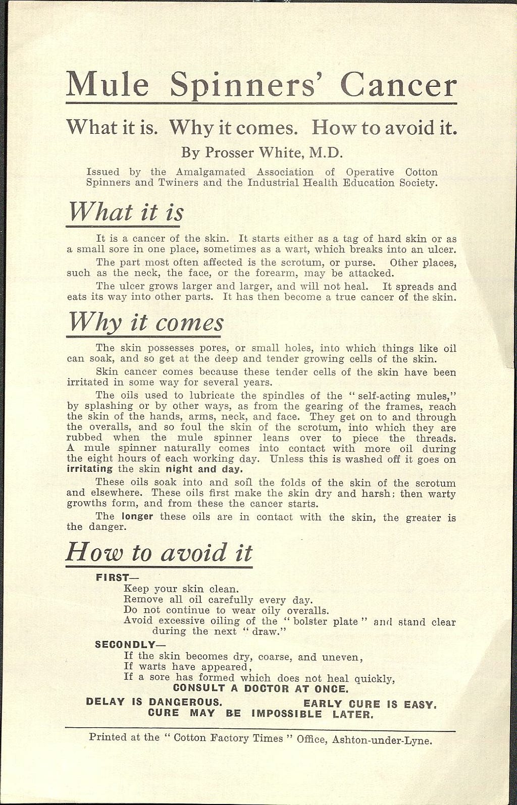Printed leaflet on paper