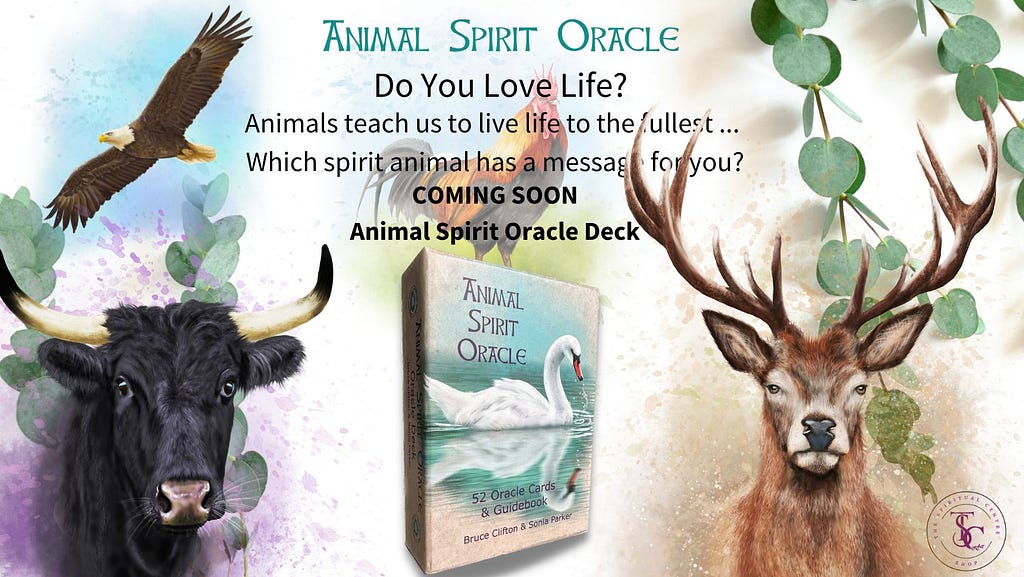 Animal Spirit Oracle Deck available soon from the spiritual centre