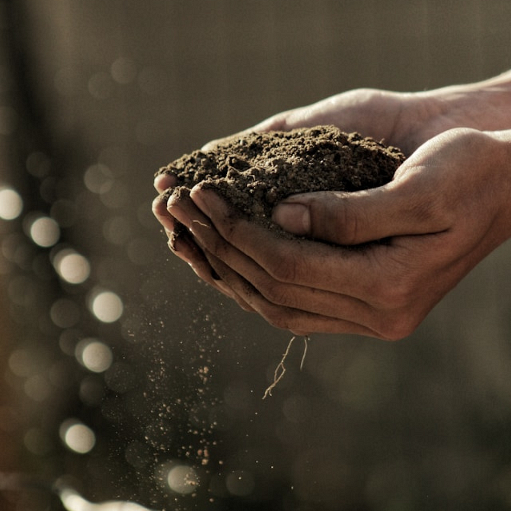 two hands holding dirt from a garden