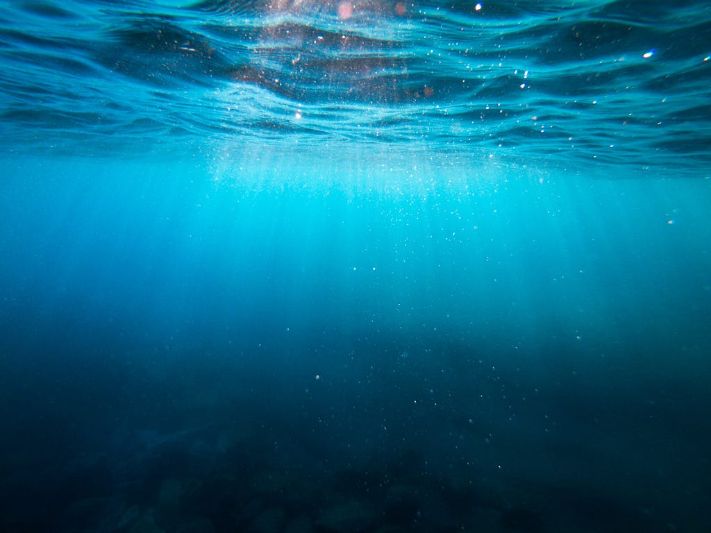 Sunlight illuminates an underwater area