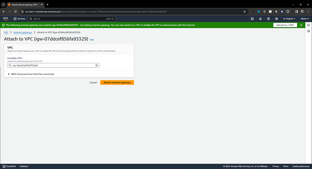 Attach vpc with the internet gateway