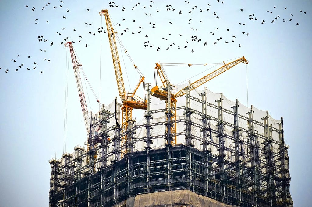unfinished building surrounded by birds and a few construction cranes