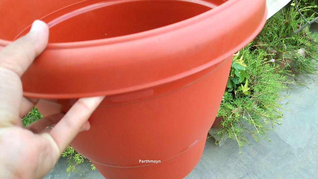 Plastic container used to grow my butterfly pea plant