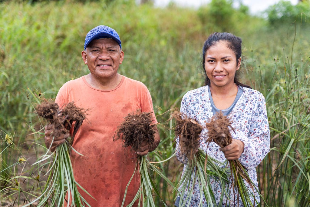 A father and daughter stand smiling while in a lush field, each holding handfuls of a plant with bushy brown roots and long slender green foliage.