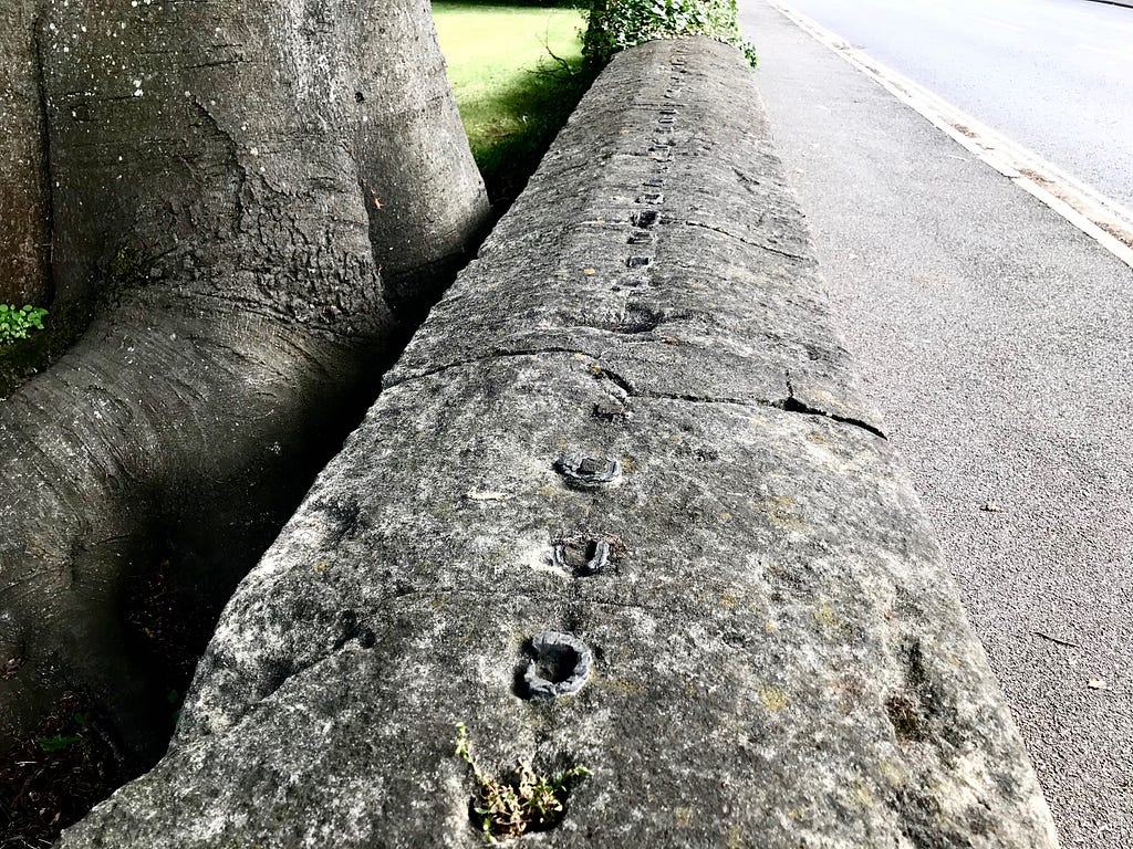 A stone wall runs through the image, a low wall that is the border between the park and Sydney Place, and there is evidence that railings were once on top of the stone wall. There is a large tree trunk beside the wall and it looks huge and old, just the bottom of the tree trunk.