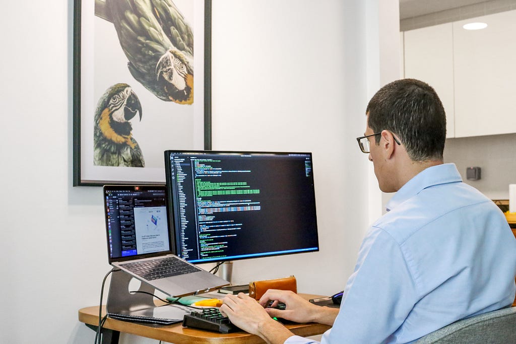 Amir working at home under a print of two parrots