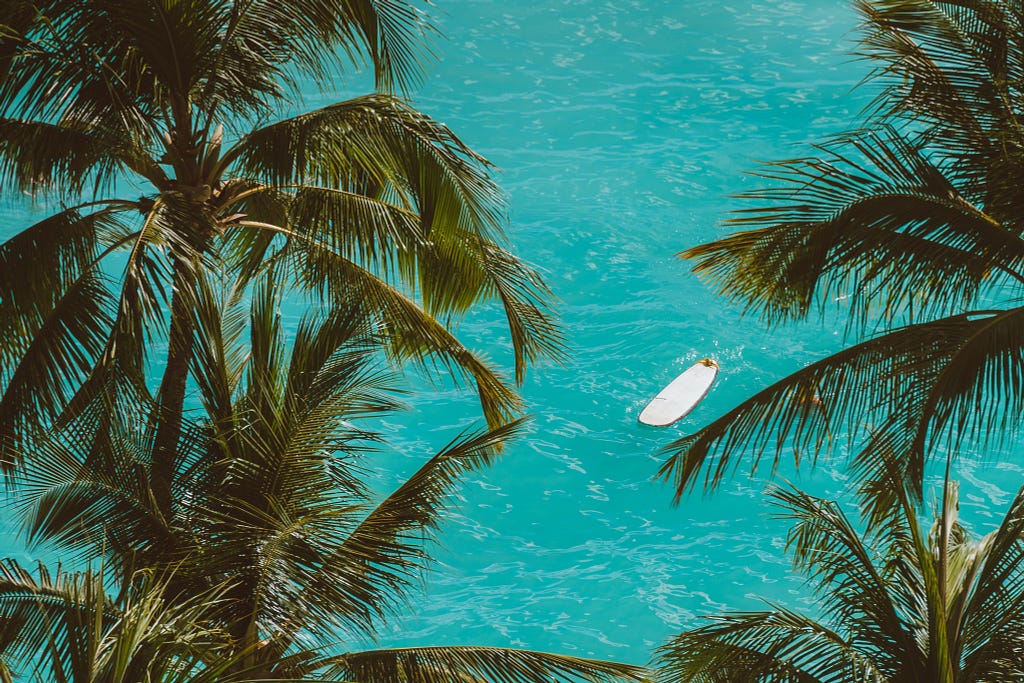 Surfboard floating in the sea. View from the coast and sorrounded by palms.