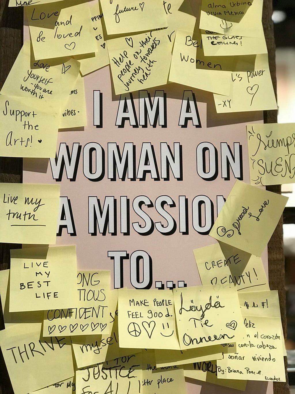 A photo showing the inscription I am a woman on a mission to… and many short stickers showing the possibilities