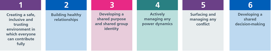 Six princples: Create a safe, inclusive and trusting environment. Building healthy relationships. Developing a shared purpose. Actively managing any power dynamics. Surfacing and managing any conflict. Develop a shared decision-making