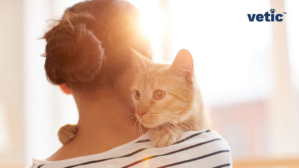 The image features a person seen from behind, holding an orange tabby cat on their shoulder. The cat is facing the camera with its eyes wide open and ears perked up, giving it an alert appearance. The background is softly lit with natural light, suggesting an indoor setting with daylight coming through a window. There’s a logo in the top right corner that reads “vetic,” likely indicating a brand or company name associated with the image.