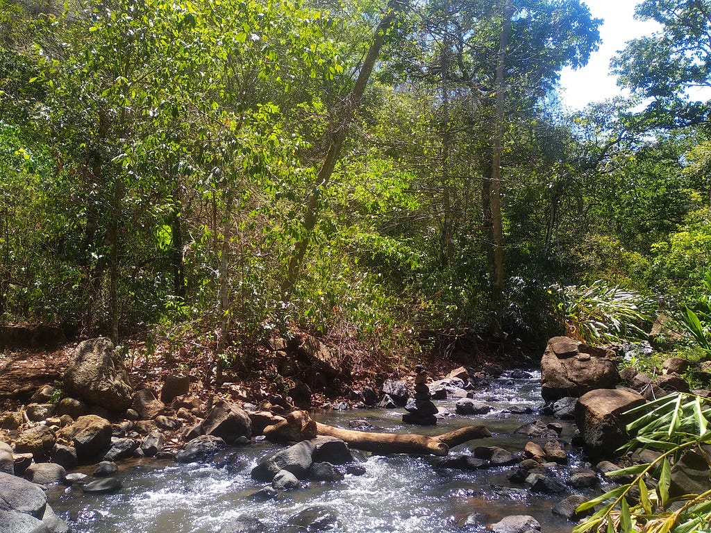 parte do rio na trilha do ceuzinho, em Campo Grande, Mato Grosso do Sul, Brasil