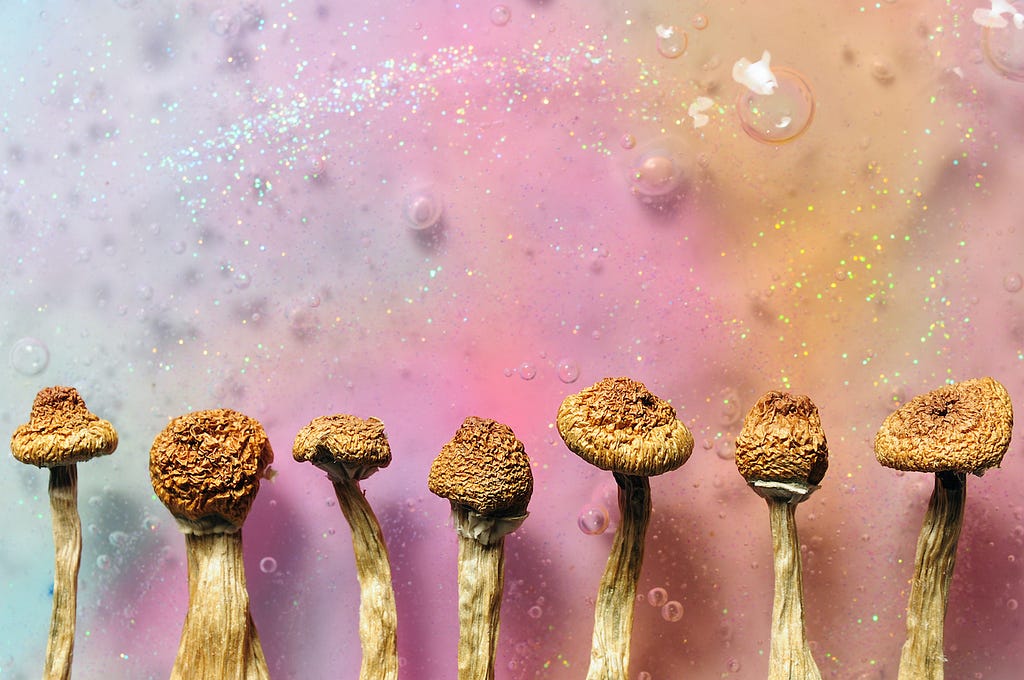 Magic Mushrooms on Medium