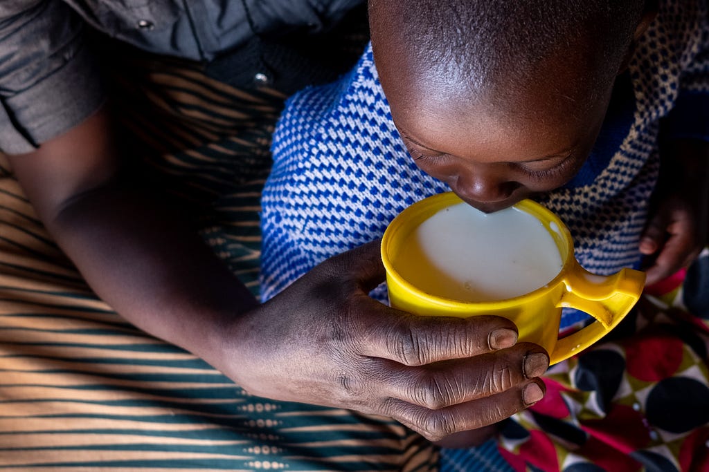 A young child drinks milk from a yellow cup being held by the hand of an adult.