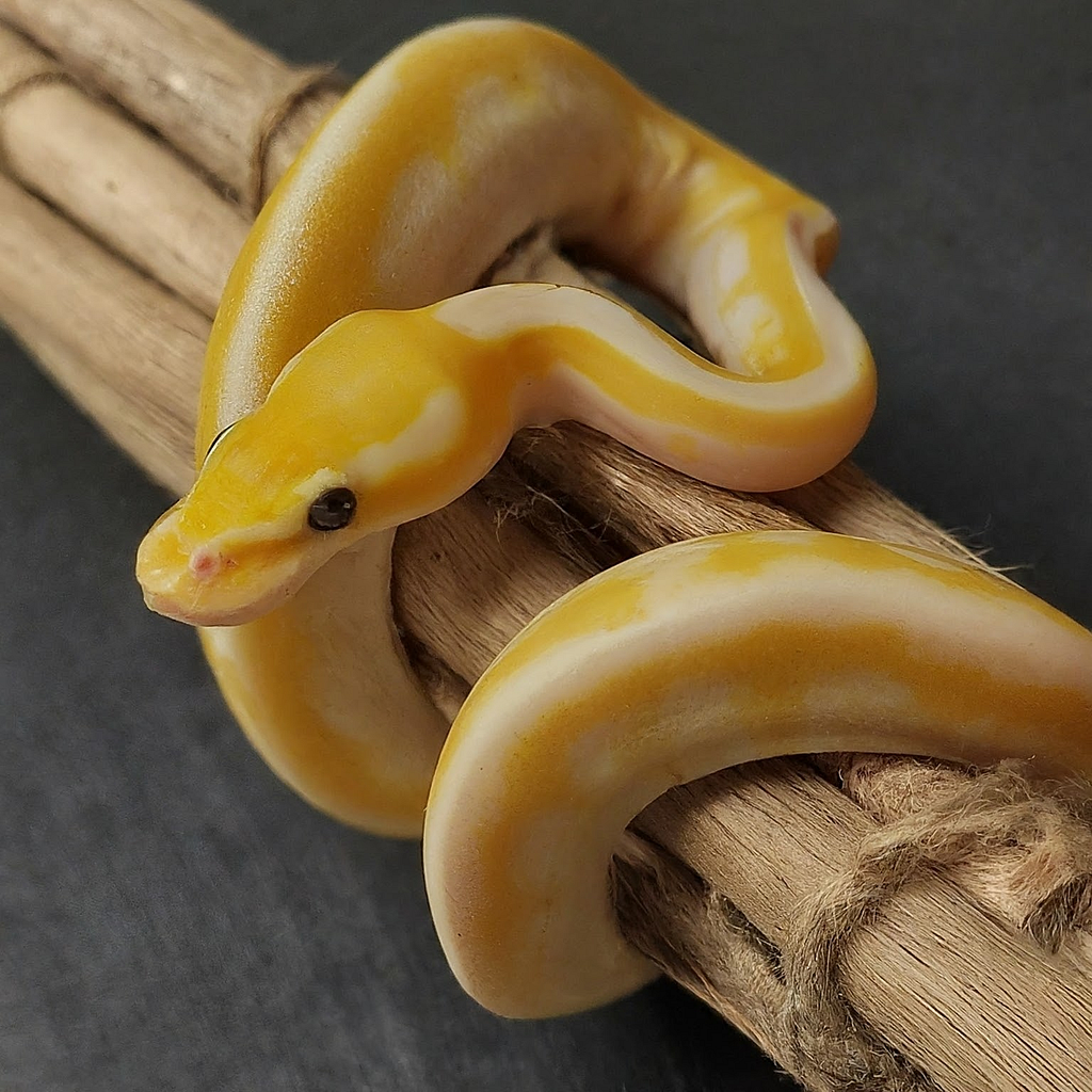 An artificial intelligence generated image depicting a snake with the coloration and pattern resembling a ripe banana, coiled around a wooden branch. The snake’s body is a bright yellow hue with subtle white stripes, mimicking the appearance of a banana’s skin. The image was generated using the ImageFX AI tool and does not represent a real photograph of a snake species.