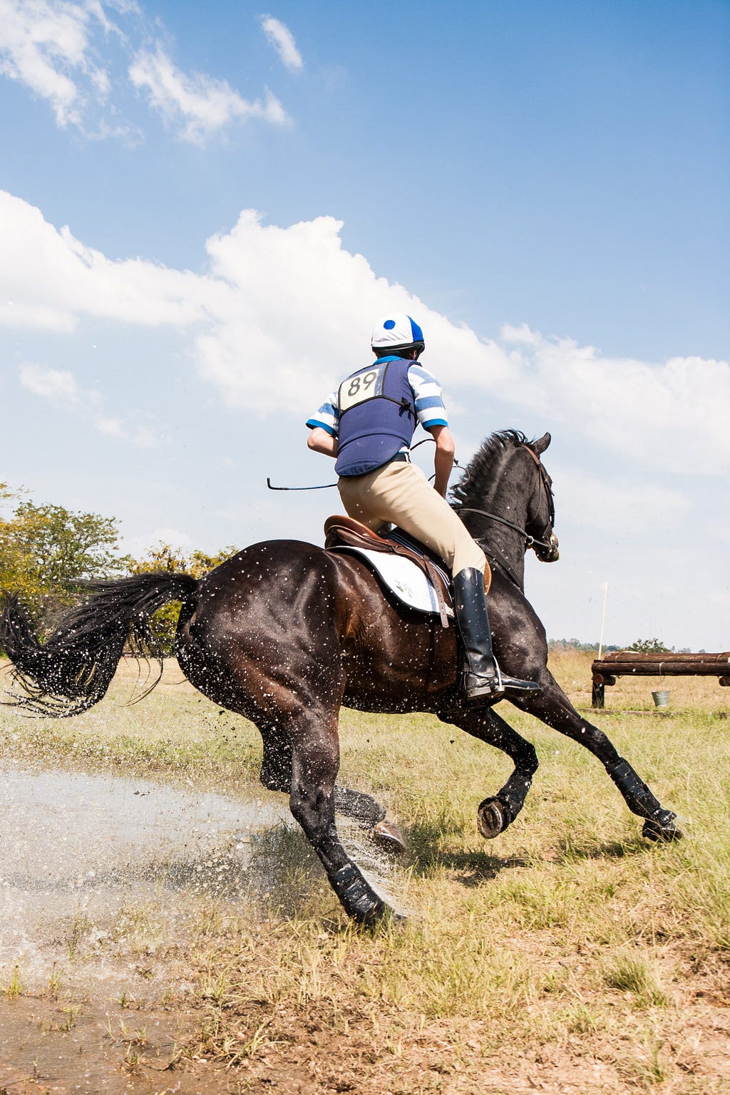 sports horse performance enhanced