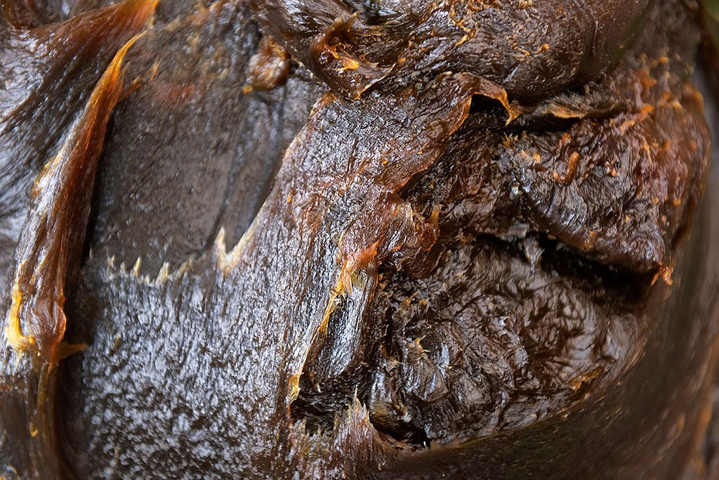 a closeup shot of Traditional Moroccan black soap