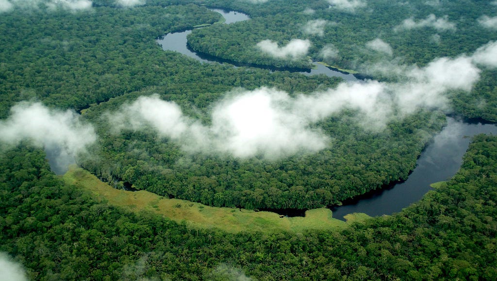 An overhead view of a lush green forest with a winding river and low-hanging clouds.