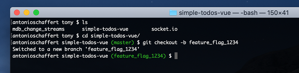 Screenshot showing current git branch