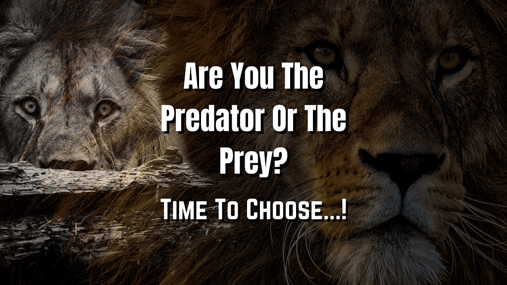 predator or prey inspirational and motivational videos