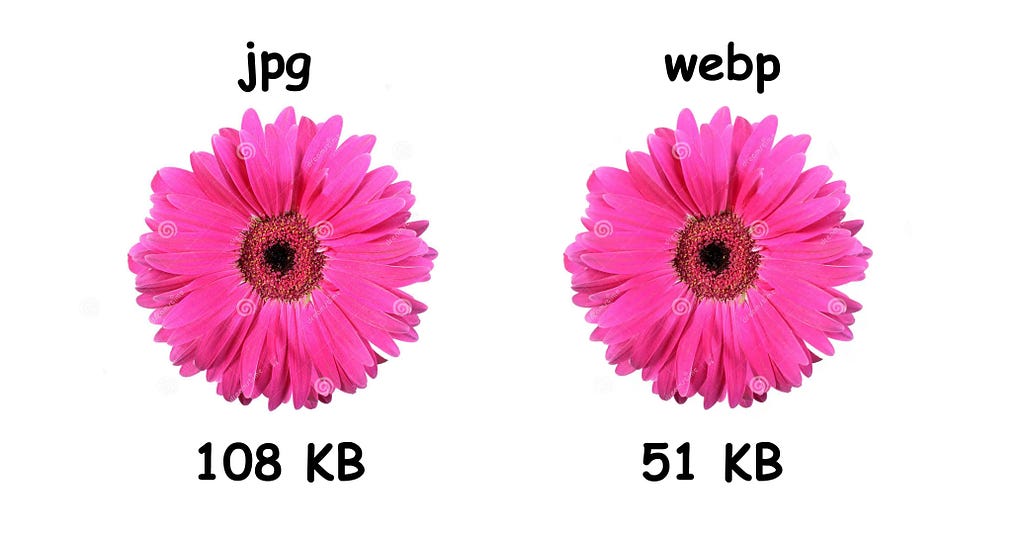 The difference in size between the same image in JPG and WebP formats.