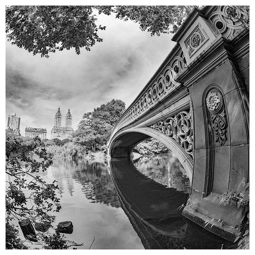 Central Park West black and white photography by Alex Leykin