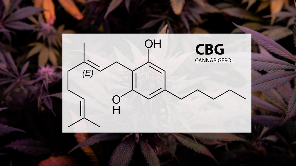 A diagram of the CBG molecule set against a backdrop of hemp leaves.
