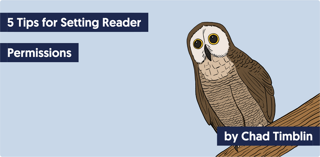 A brown owl sitting on a tree branch with this text: 5 Tips for Setting Reader Permissions — by Chad Timblin