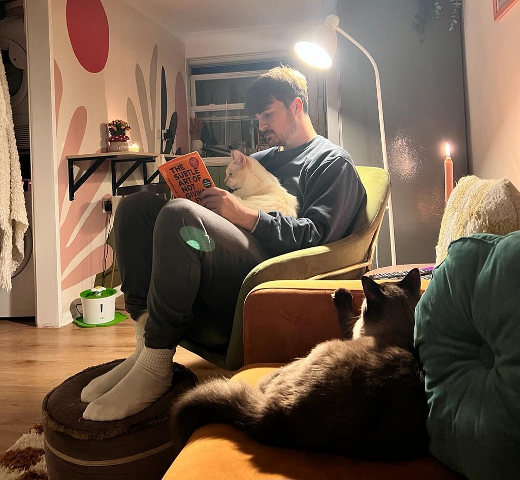 Teaching my cats how to read