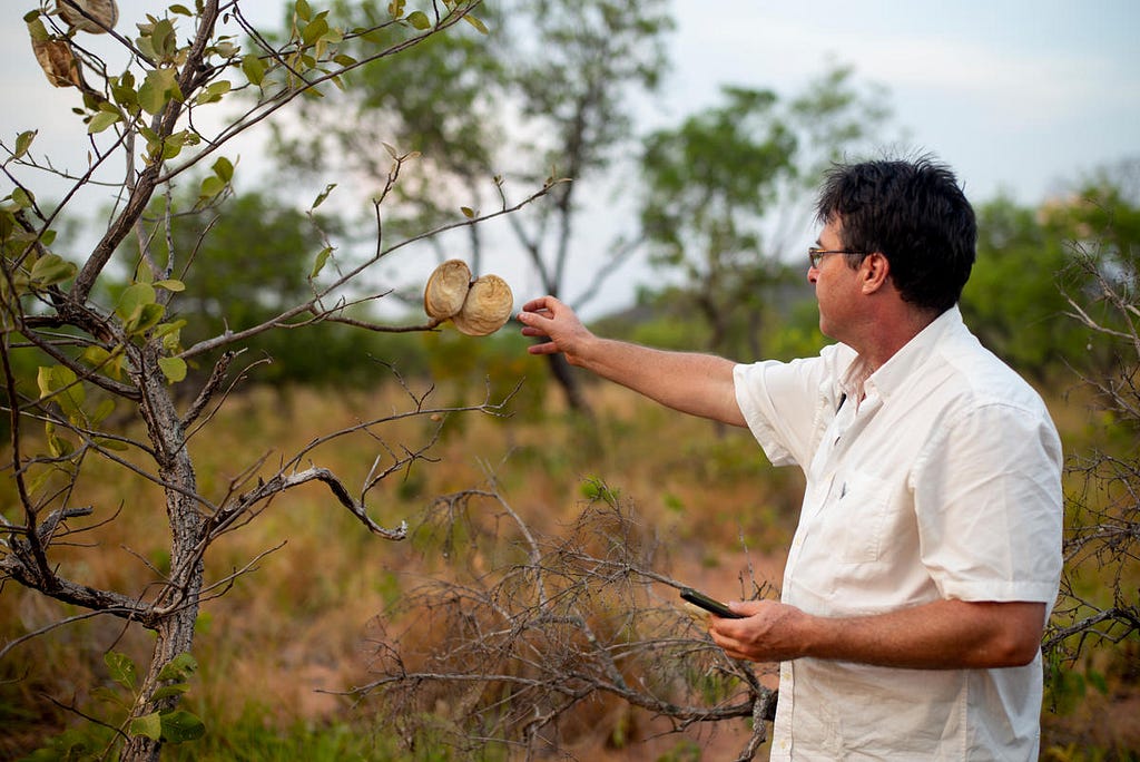 Jean-François Timmers in the Cerrado, Brazil, one of the world’s oldest and most diverse tropical ecosystems. © David Bebber / WWF-UK