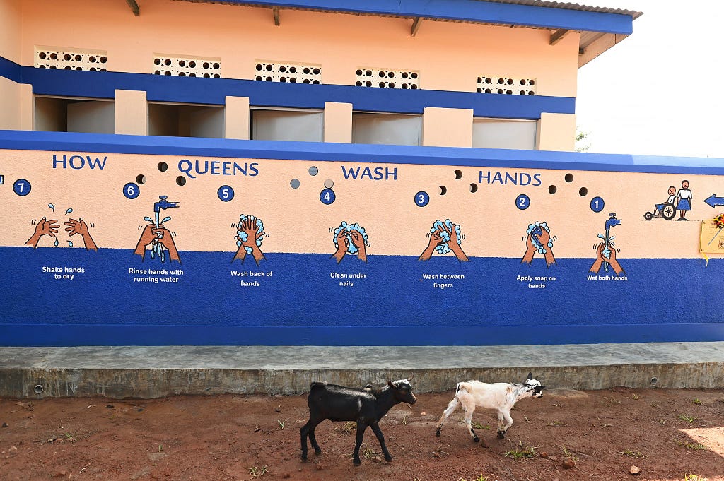 Two goats scurry past a colorful mural that explains a seven-step process for proper handwashing. Each step includes a set of hands displaying correct technique.