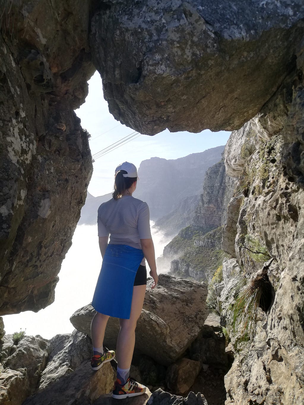 India Venster, Table Mountain, South Africa