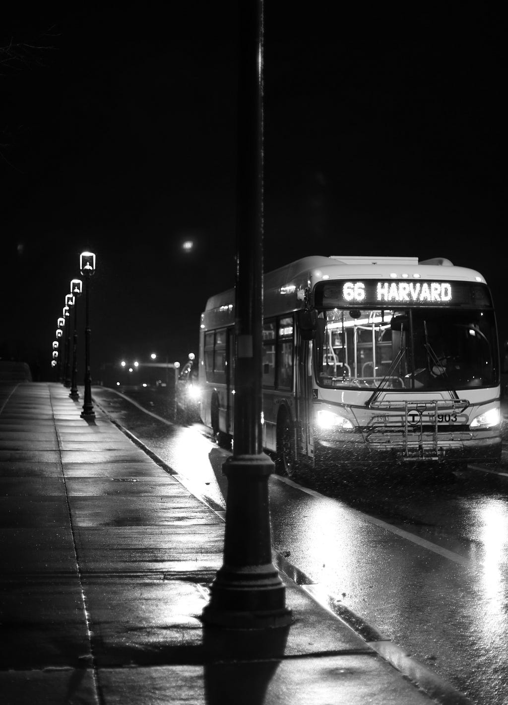 The Bus to Harvard (courtesy of Francis Malige)