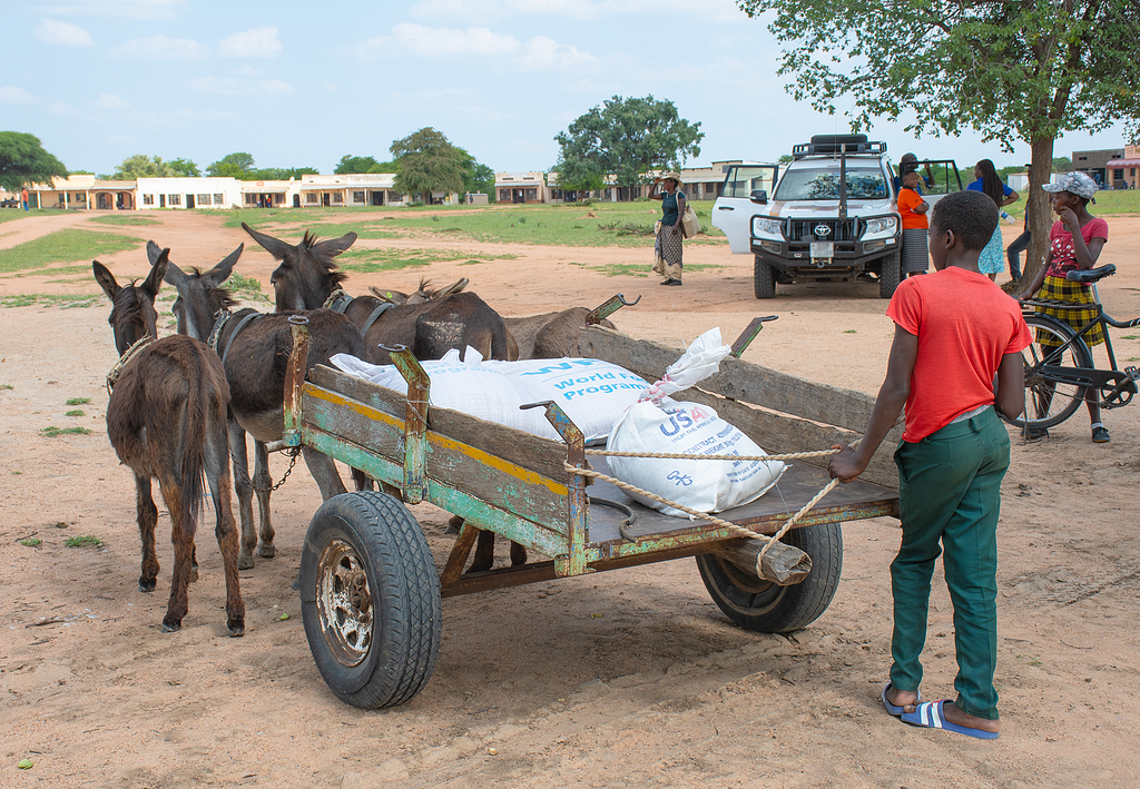 A boy stands behind a cart containing bags of food aid being pulled by three donkeys on a dirt road.
