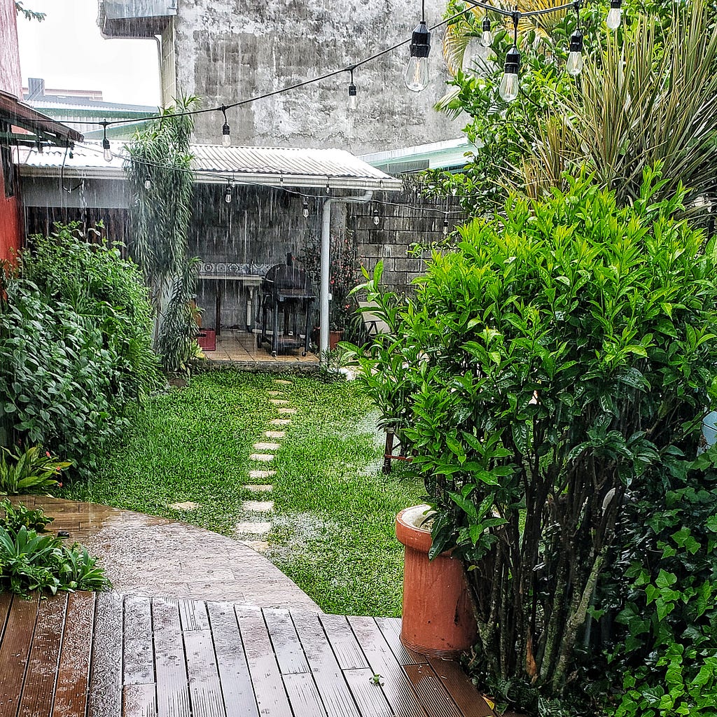 Photo of a grassy yard with stone path and paved walkway in the bottom left corner. The garden is lined with green, lush plants. Heavy rain is falling. There’s a covered area at the back of the photo, and multiple strings of lights strung across the garden with retro bulbs.