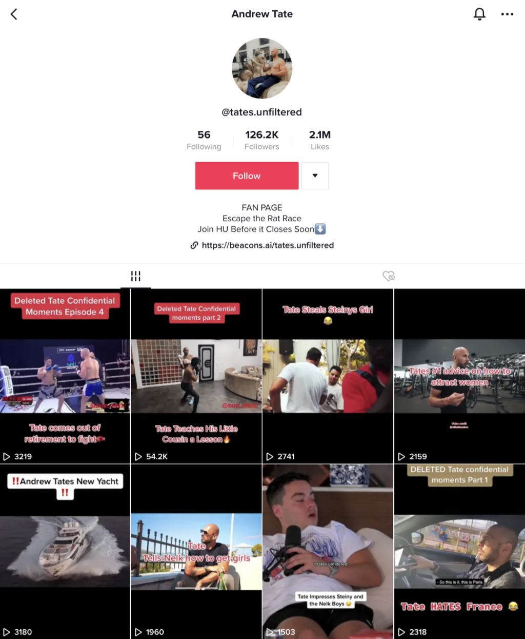 Screenshot of a TikTok fan account dedicated to Andrew Tate, showing a grid of video thumbnails with manosphere-related content and a high follower count.