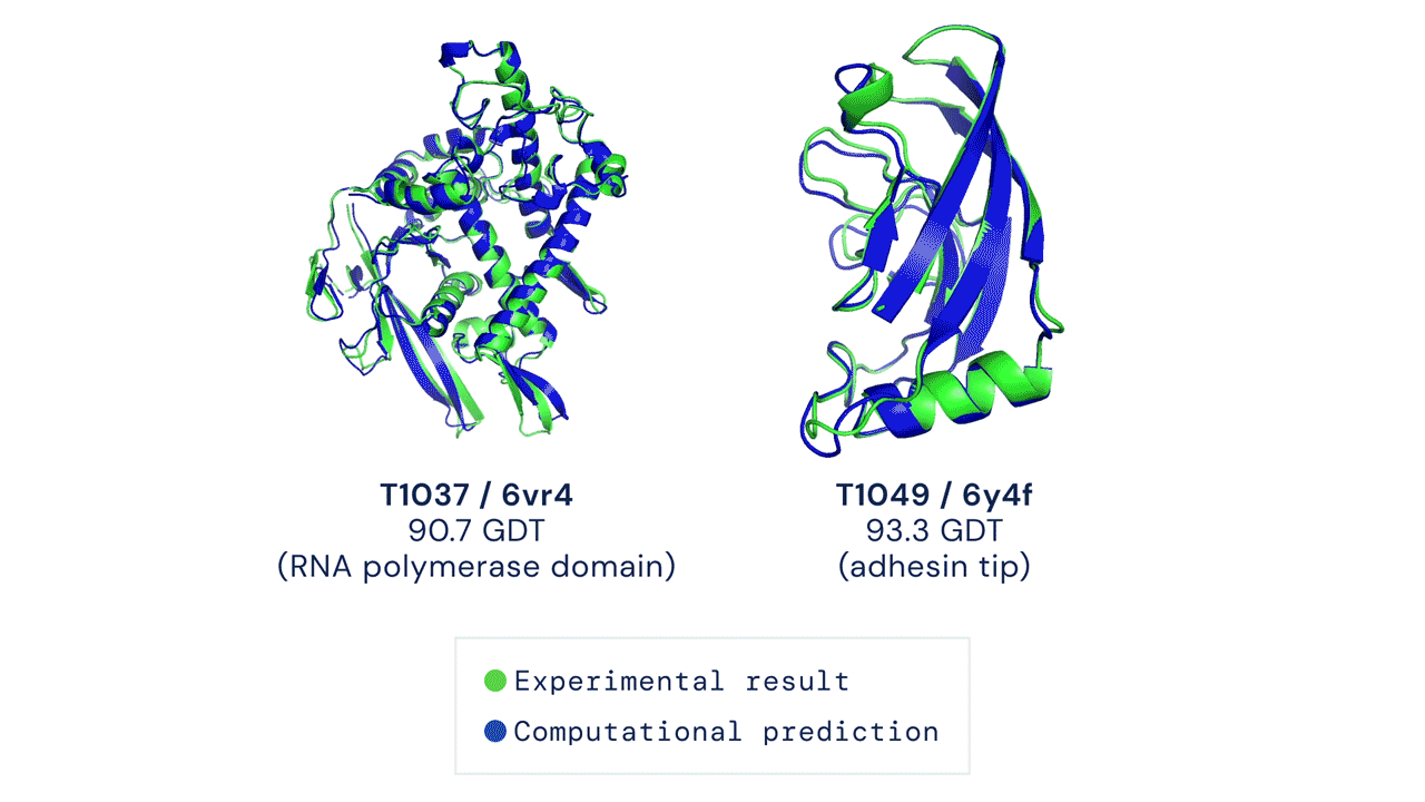 The actual and AlphaFold predicted 3D structure of two protein types