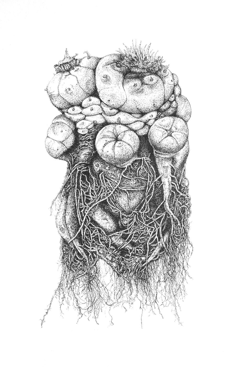 Black and white drawing of a Peyote cactus plant with a very intense tangled root system –– crated entirely with thousands of dots to make up the plant.